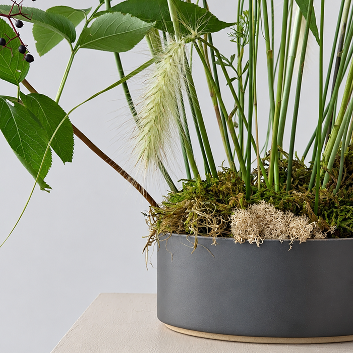STEM | Arrangement