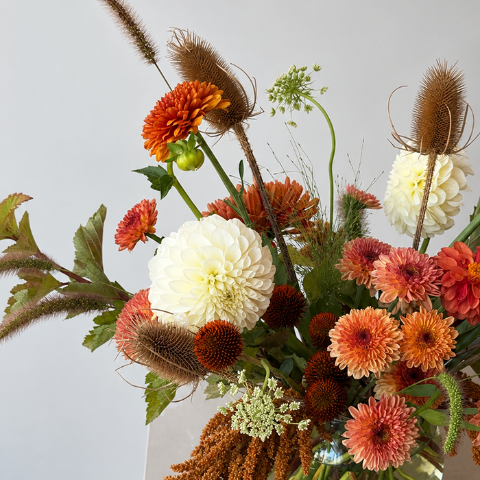 HARVEST | Arrangement