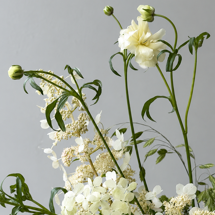 WISP | Arrangement