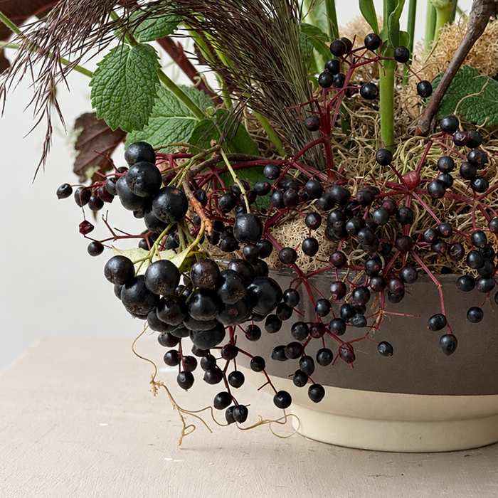 GROVE | Arrangement