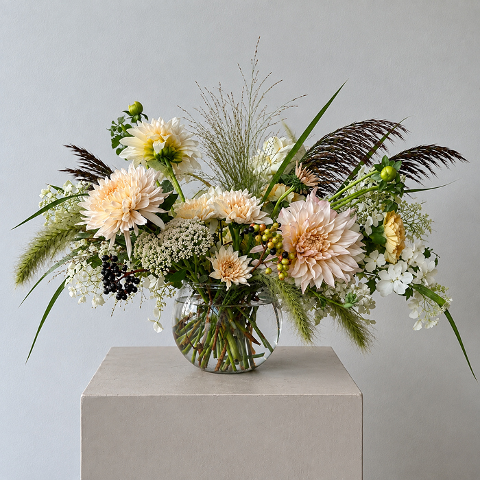 PALE | Arrangement