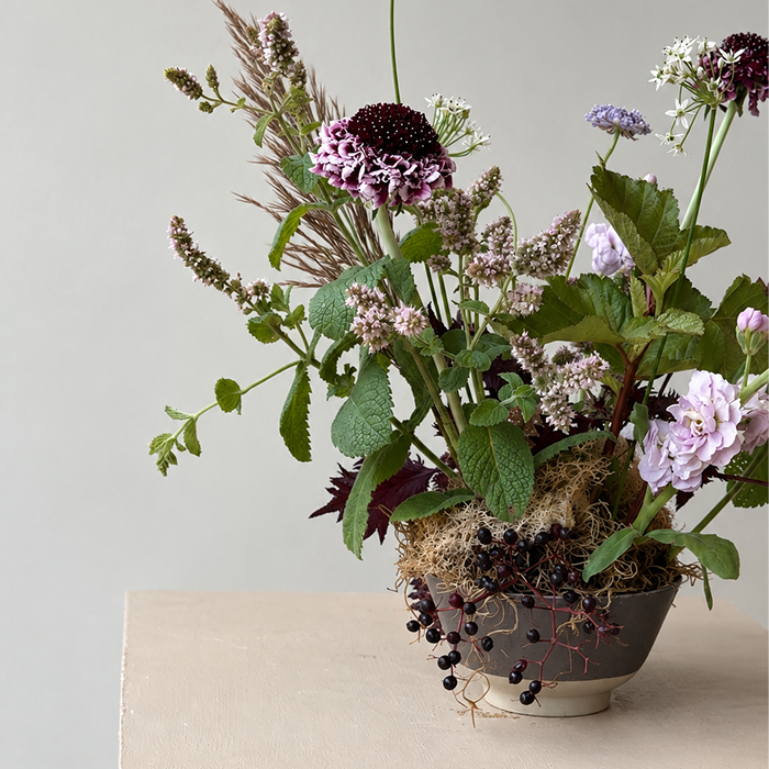 THICKET | Arrangement