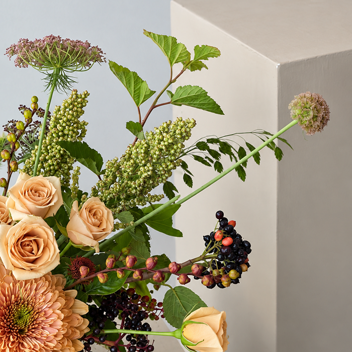 WOODS | Arrangement