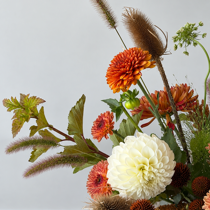 HARVEST | Arrangement