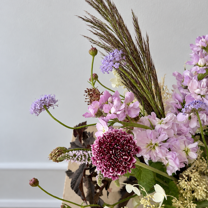 DUSK | Arrangement
