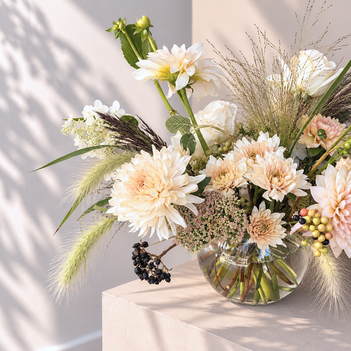 PALE | Arrangement