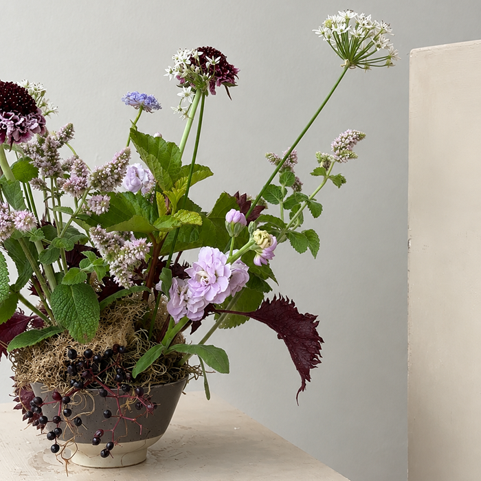 THICKET | Arrangement