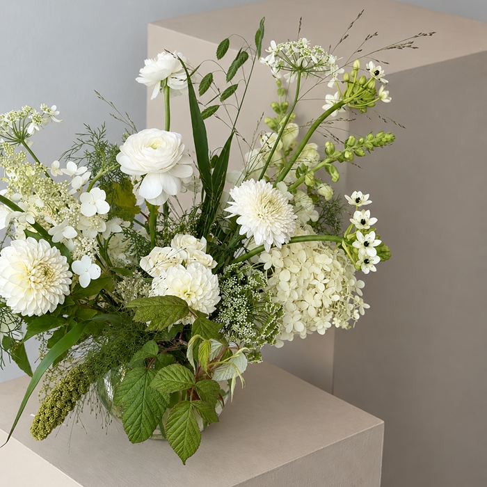 QUIET | Arrangement