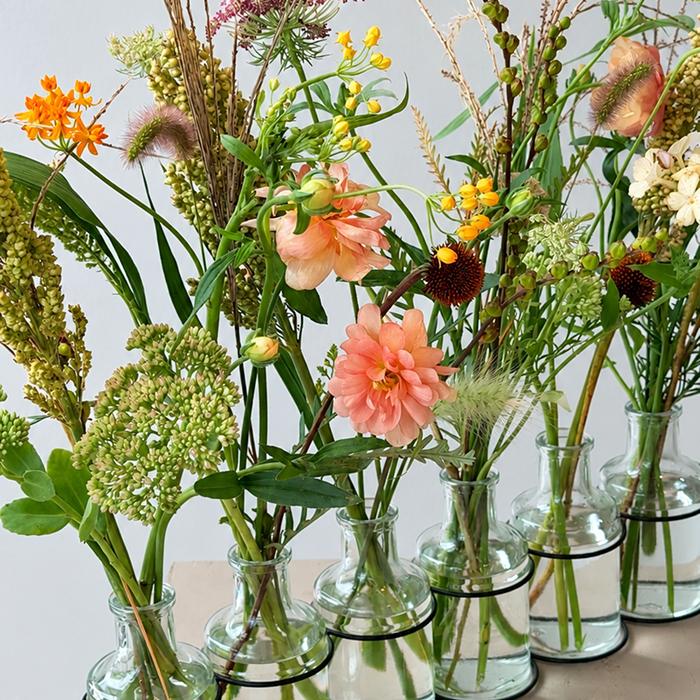 MEADOW | Arrangement