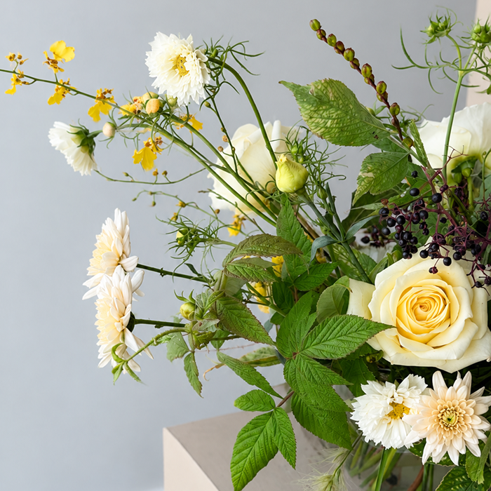 FIELDS | Arrangement