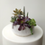 7" Succulent Garden in Glazed Ceramic Container