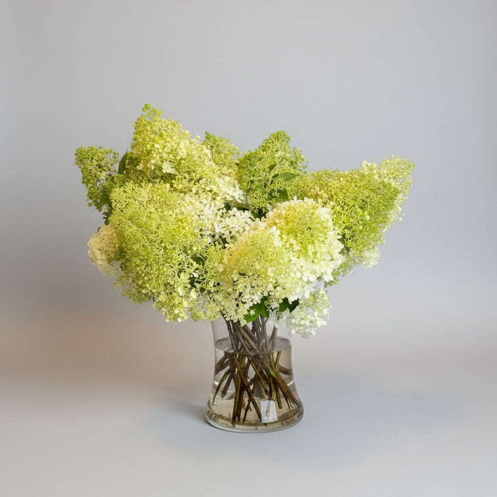 Hydrangea Market Bunch