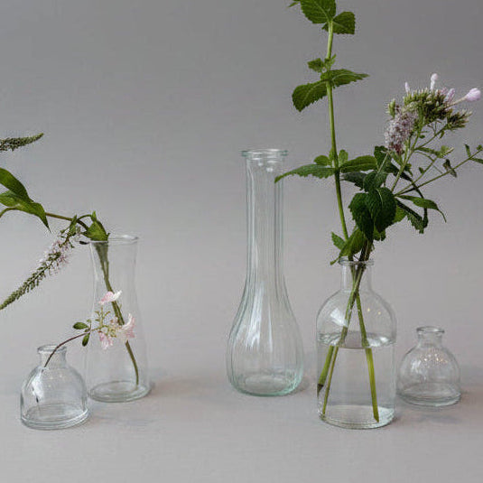 Glass Bud Vase Collection