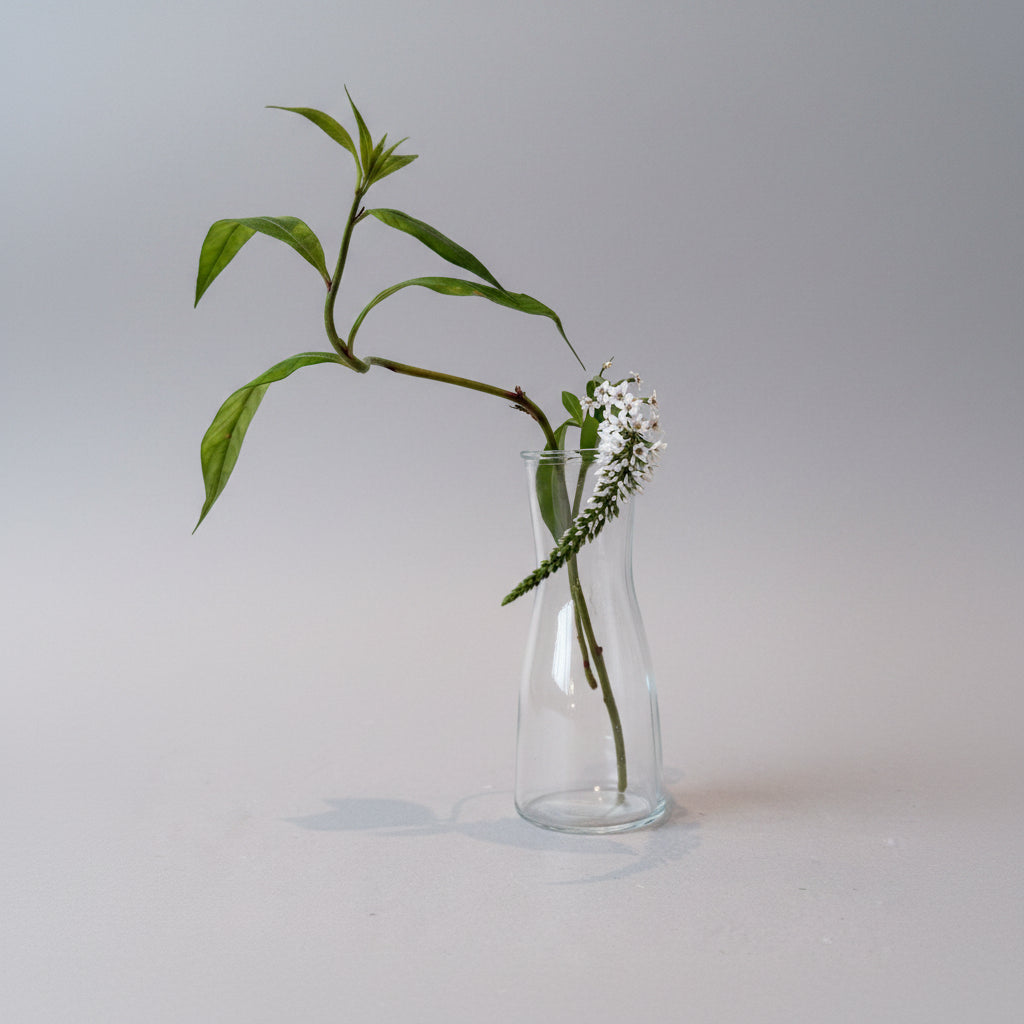 Glass Bud Vase Collection