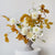 Glowing Pedestal Arrangement