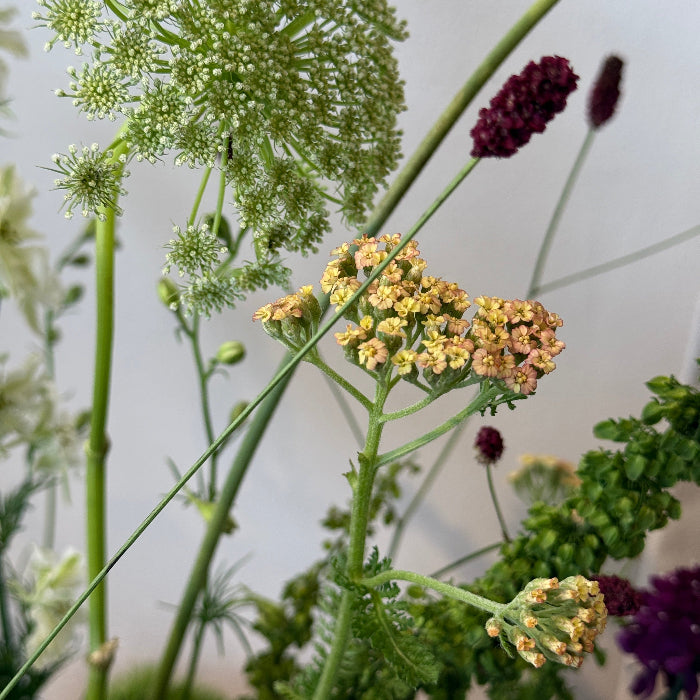 Summer Fields Vase Arrangement
