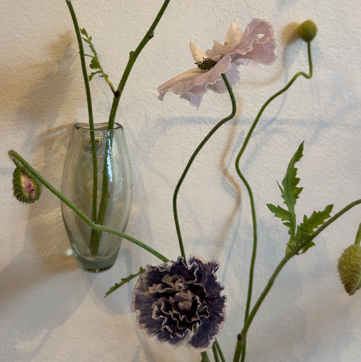 Bitters Co. Wall Glass Vases