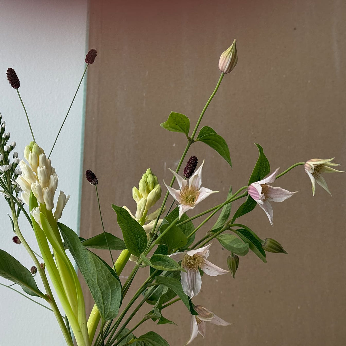 Airy modern - Bloomfields