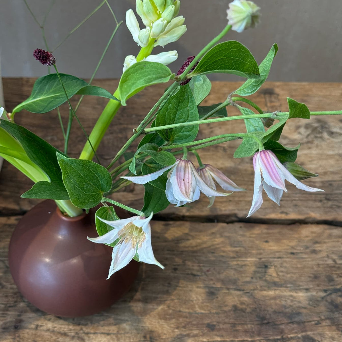 Airy modern - Bloomfields