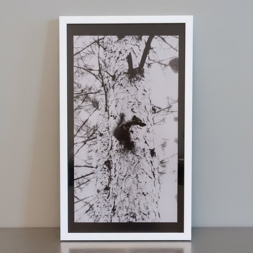 Artwork, Picture in a Metal Frame - Bloomfields