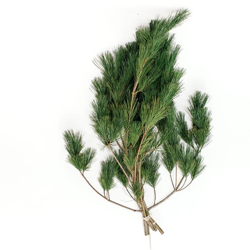 BC Pine Market Bunch - Bloomfields