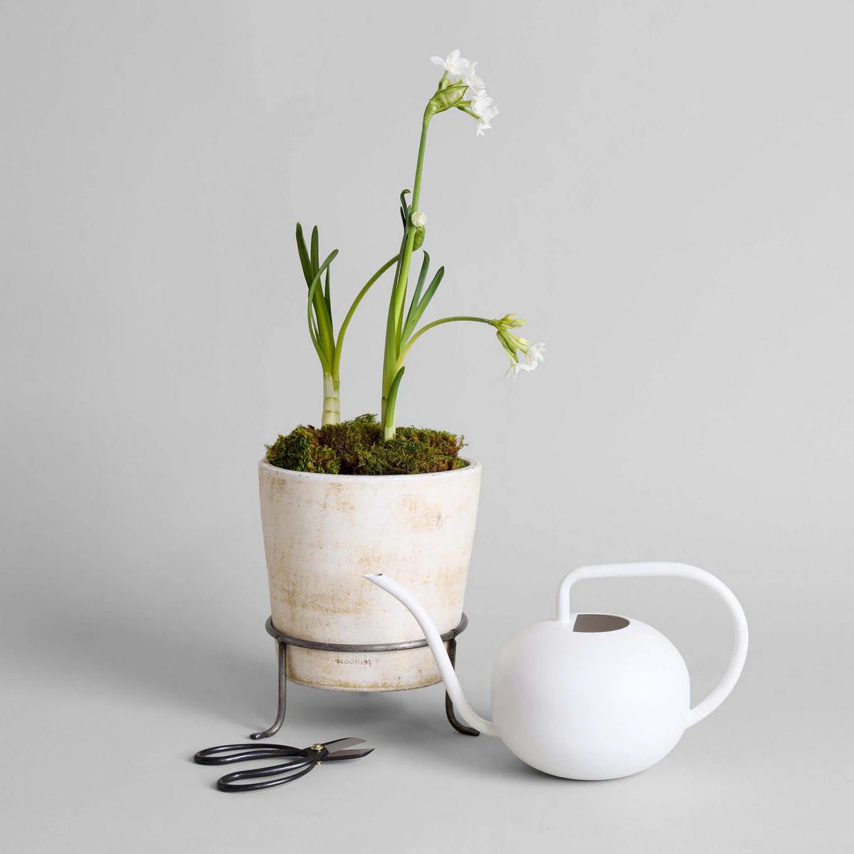 Beatrix Watering Can - Bloomfields