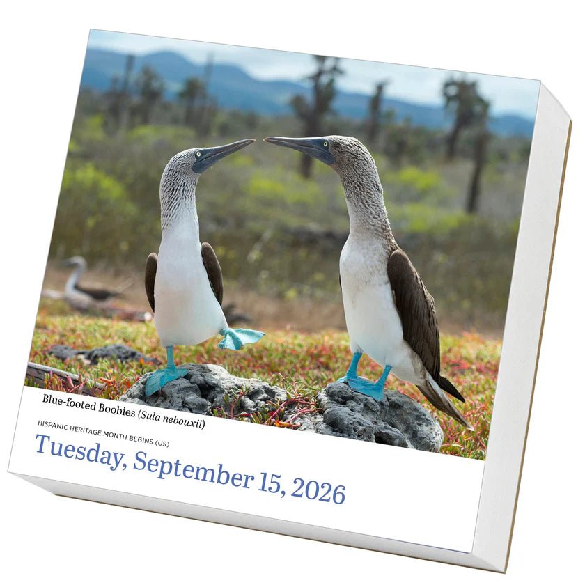 Birds Page - A - Day® Calendar 2026 - Bloomfields