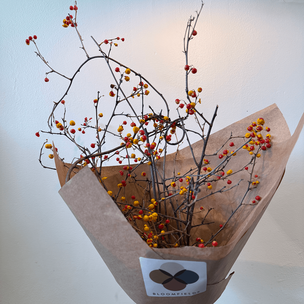 Bittersweet Bunch - Bloomfields