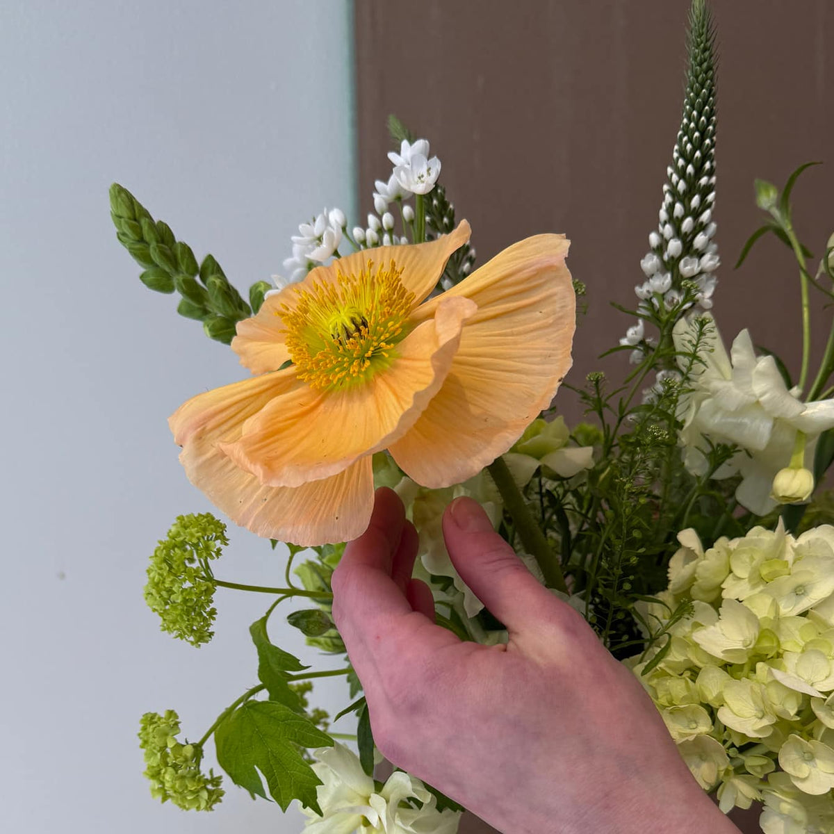 Bliss Bottle - Bloomfields