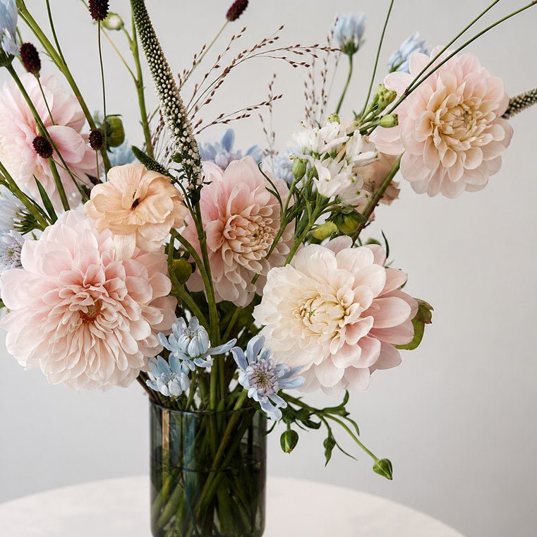 Blush Garden - Bloomfields