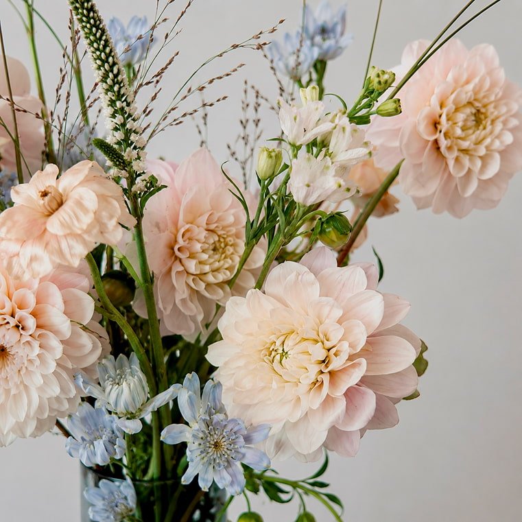 Blush Garden - Bloomfields