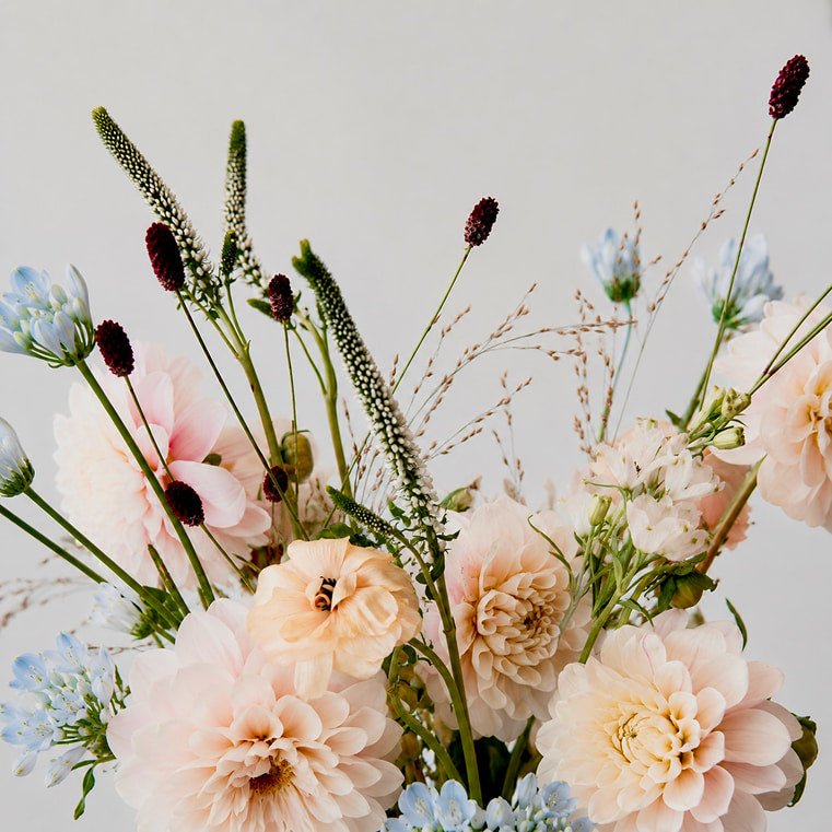 Blush Garden - Bloomfields