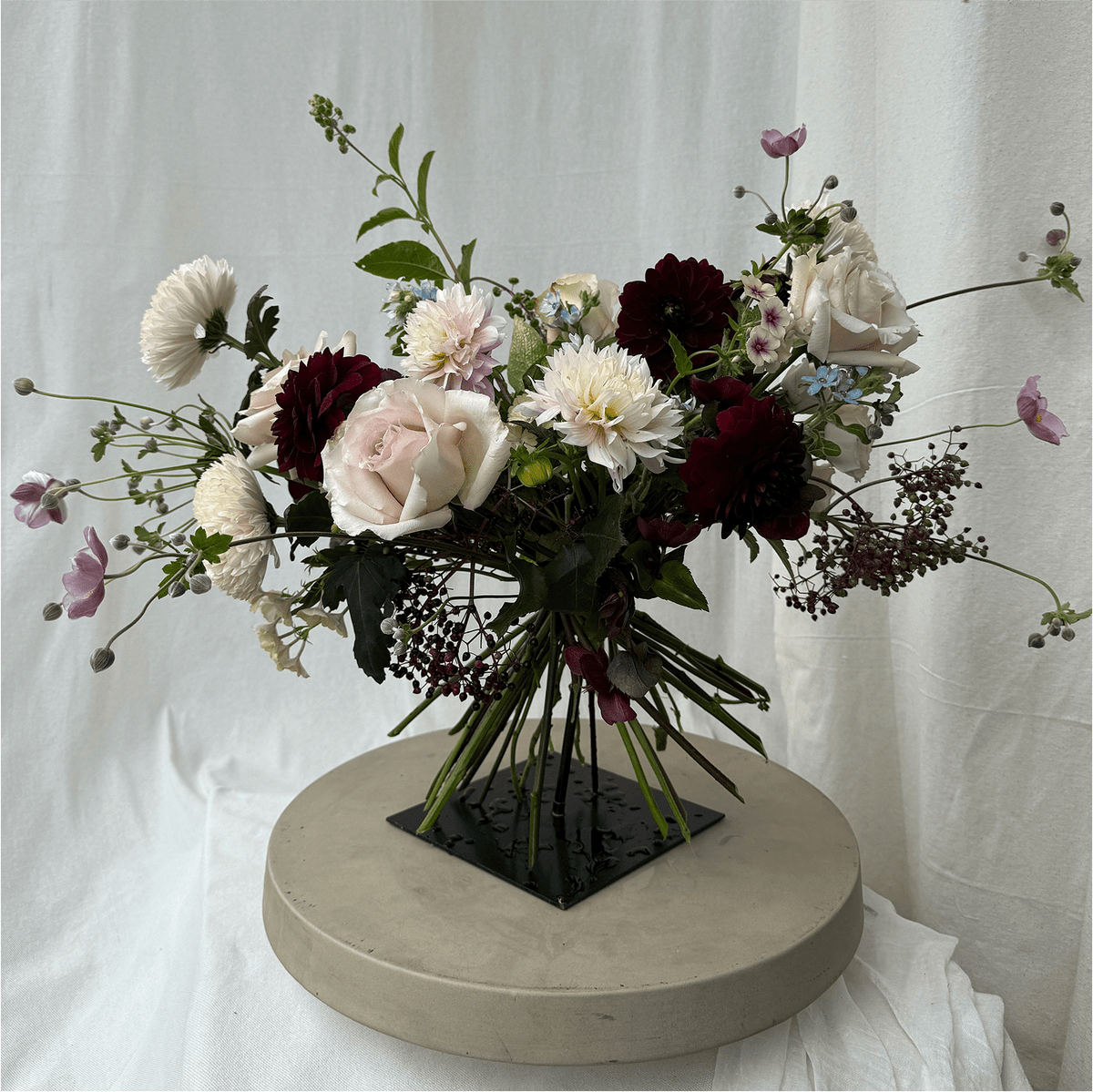 Blush &amp; Velvet - Bloomfields