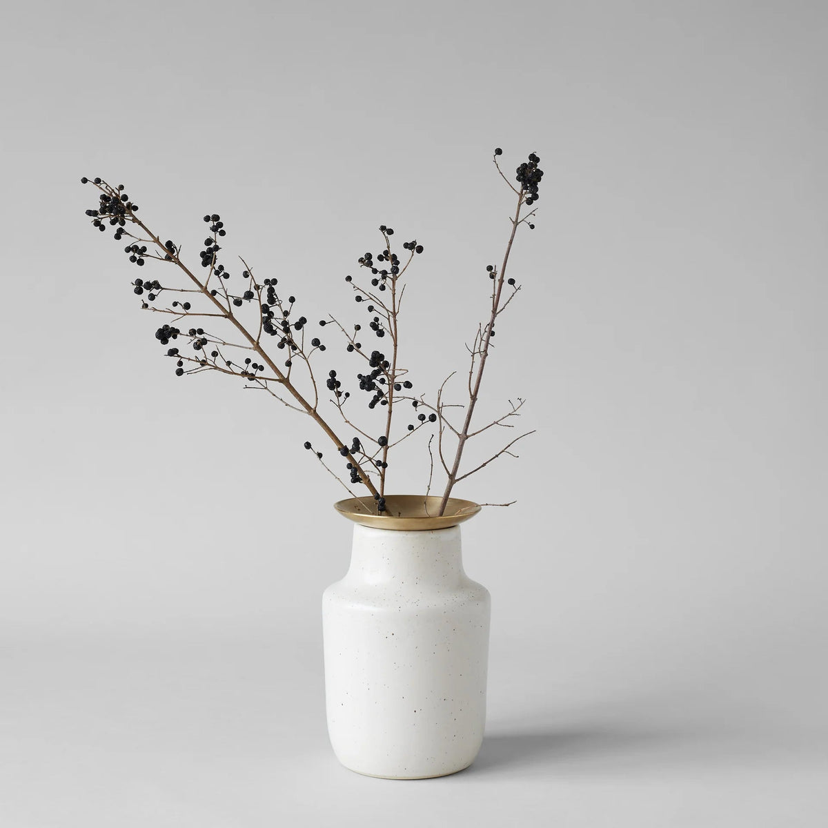 Brass Frogs - Bloomfields