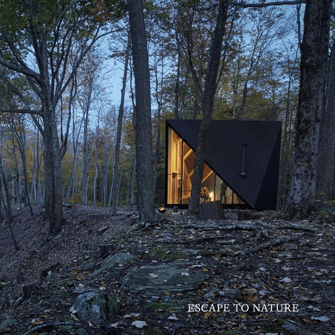 Cabins - Escape to Nature By: Damon Hayes Couture - Bloomfields