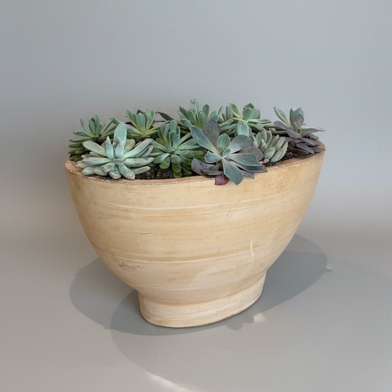 Caramel Boat Succulent Planter - Bloomfields