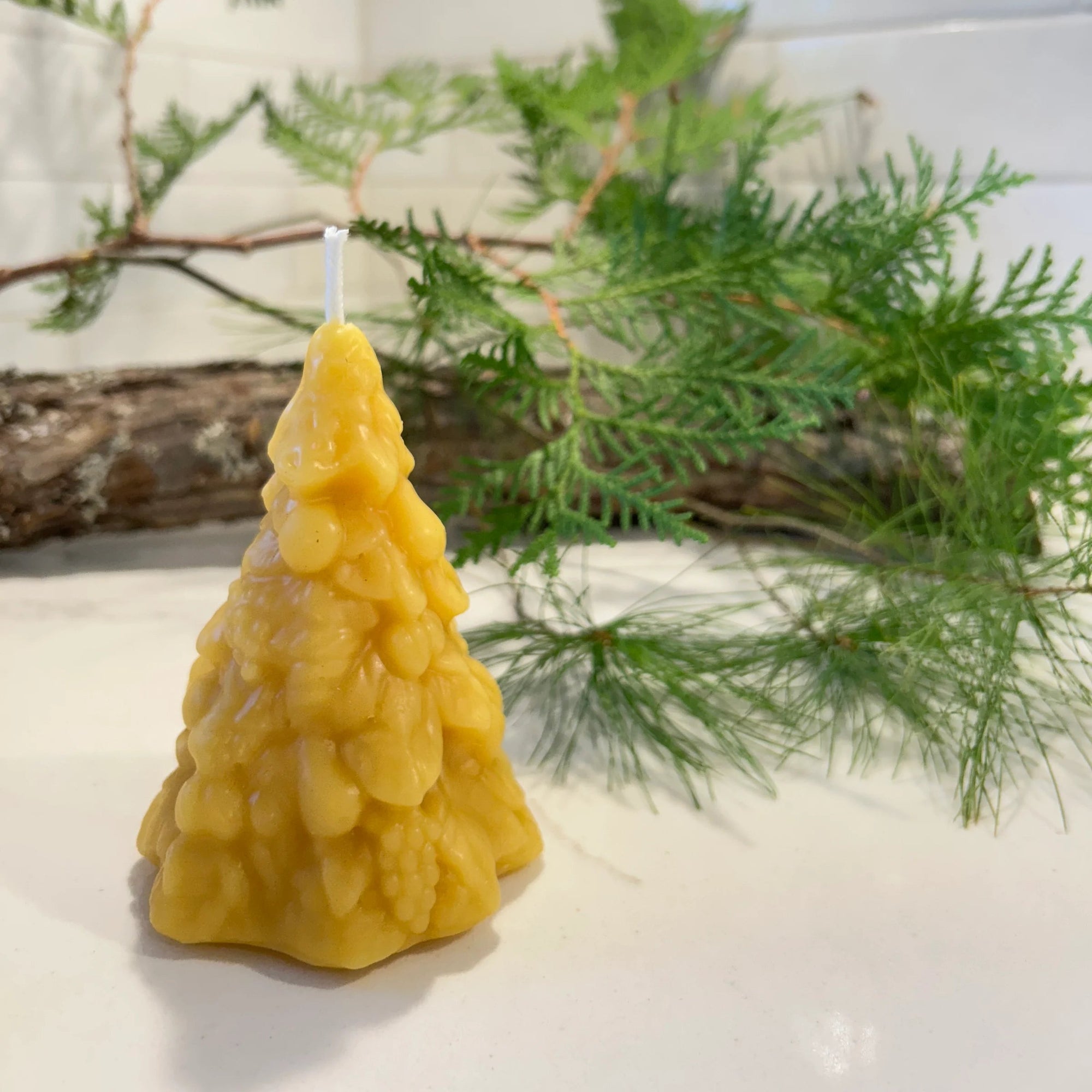 Christmas Tree Beeswax Candle - Bloomfields