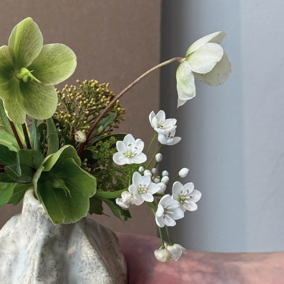 Clean Beauty - Bloomfields