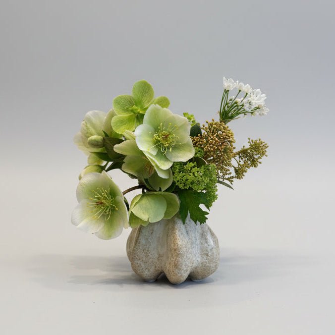 Clean Beauty - Bloomfields