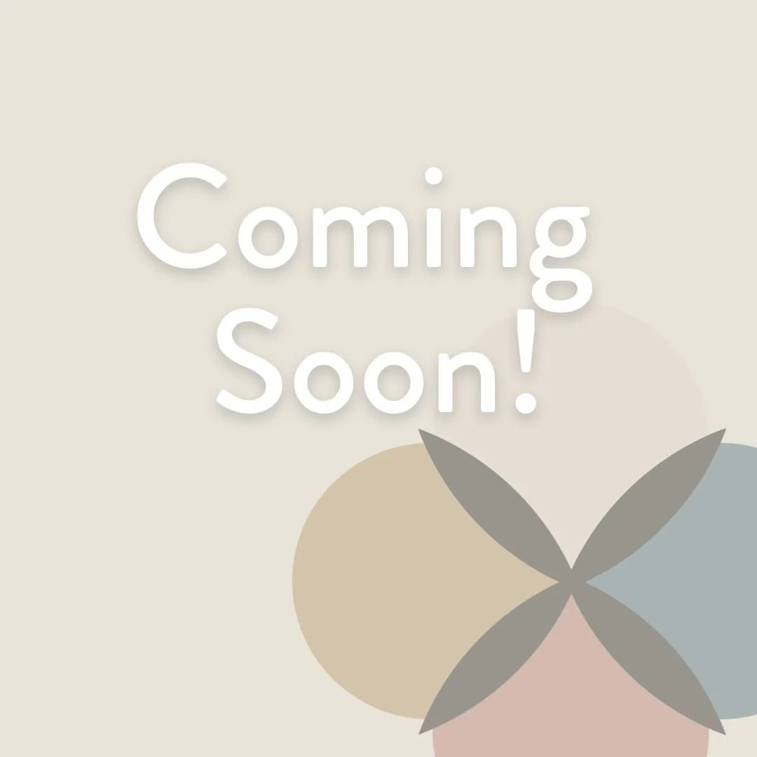 4&quot; Christmas Cactus