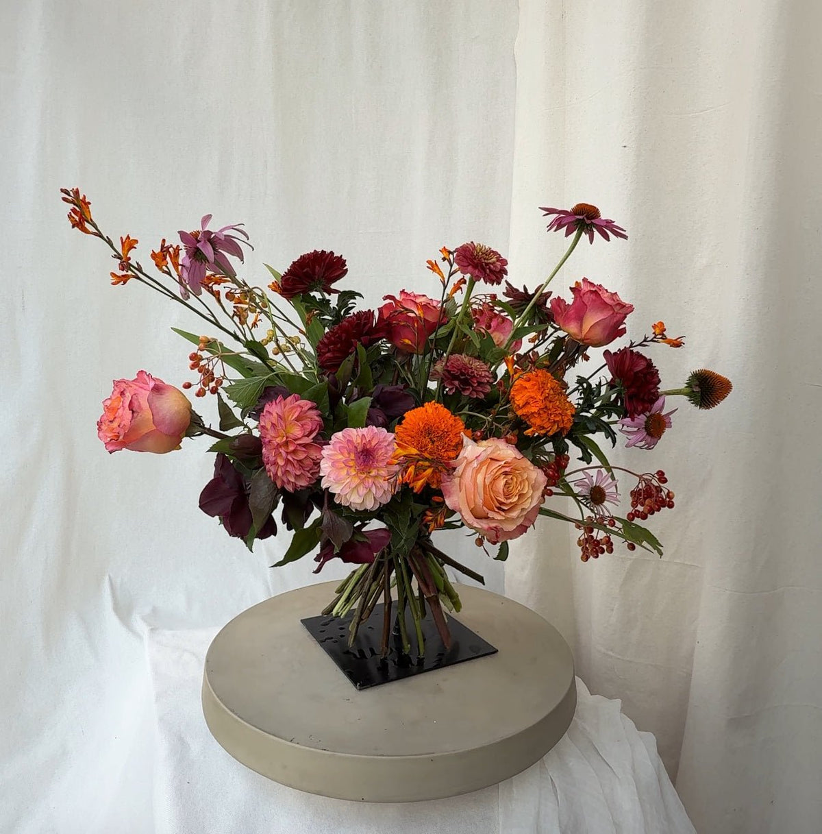 Crimson Harvest - Bloomfields