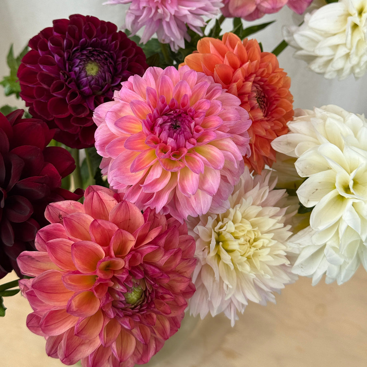 Dahlia Market Bunch - Bloomfields