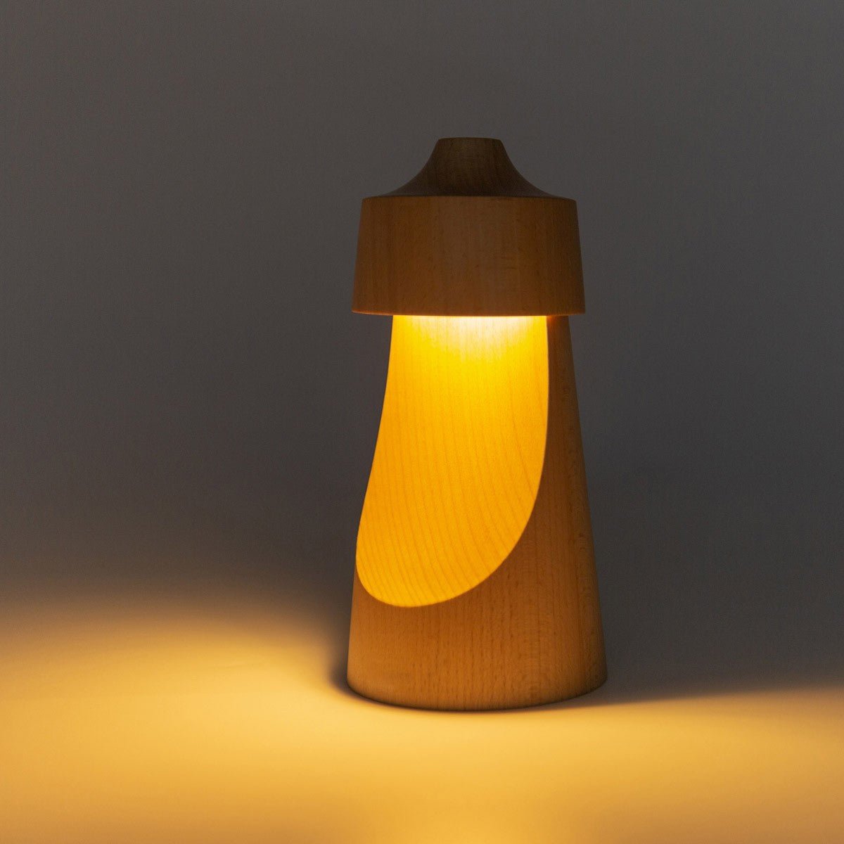 Decent Living Portable Night Light - Bloomfields