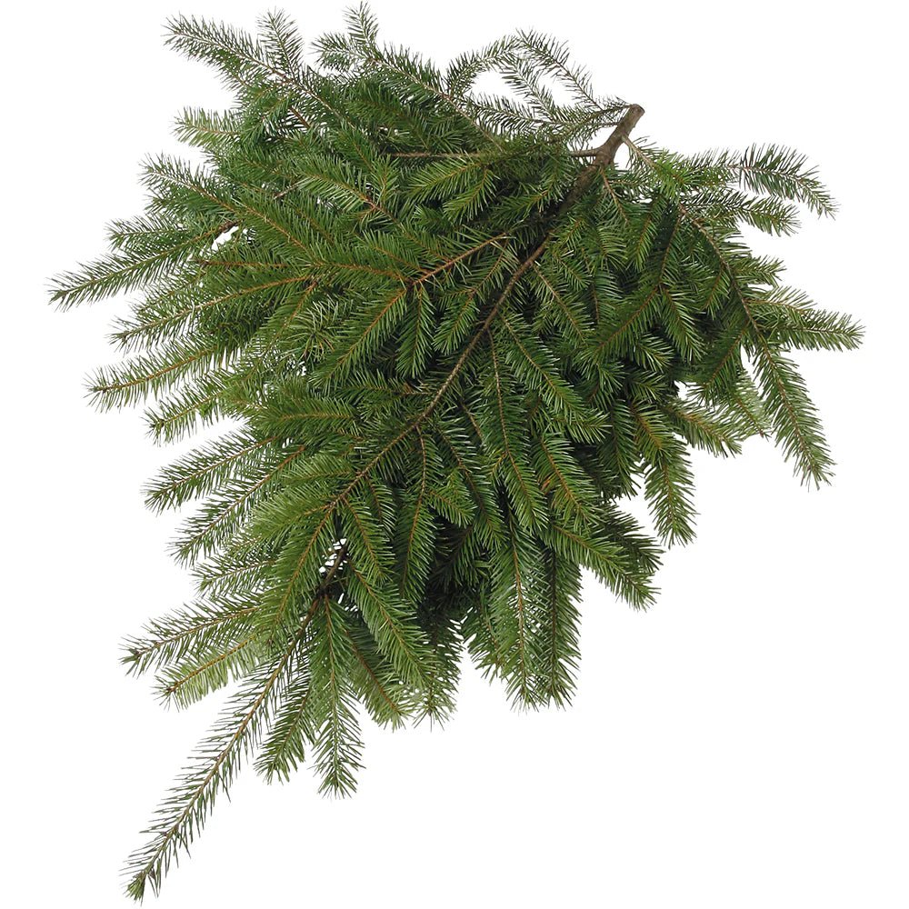 Douglas Fir Market Bunch - Bloomfields