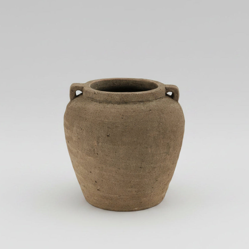 Earthen Amphora Vase - Bloomfields
