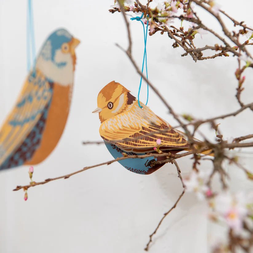East End Press 'British Birds' Paper Ornaments - Bloomfields