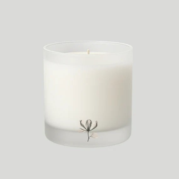 Faith in Forest Candle in a Box - Bloomfields