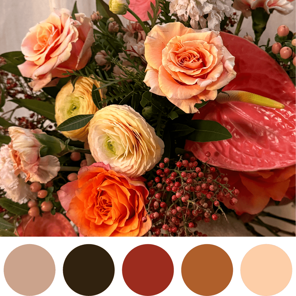 Festive Glow - Bloomfields