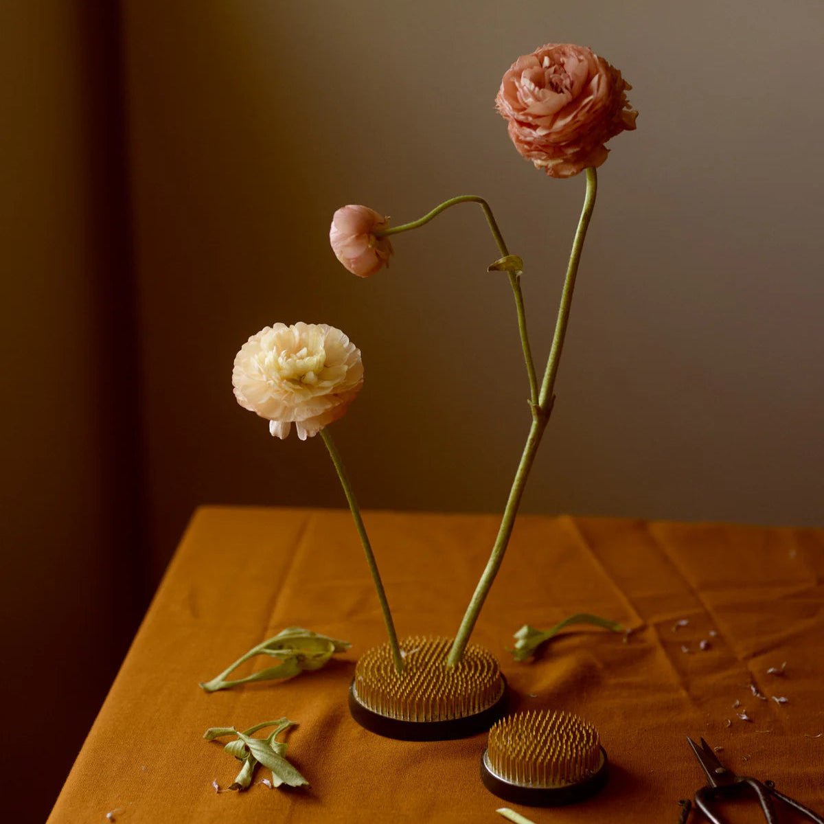 Flower Frog - Bloomfields