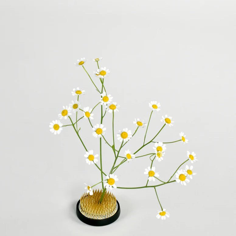 Flower Frog - Bloomfields